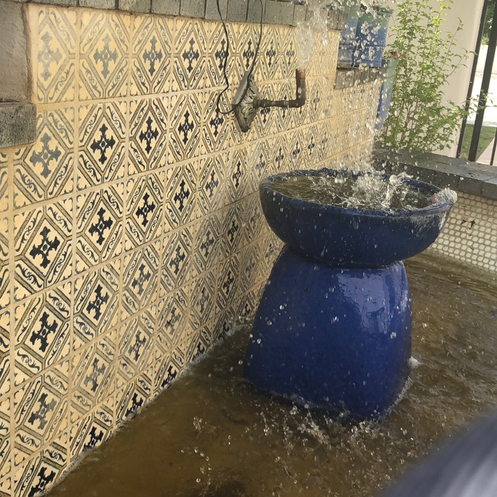 Meet your Posher, Emma